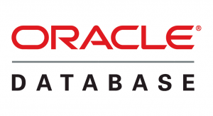 oracle database logo.
