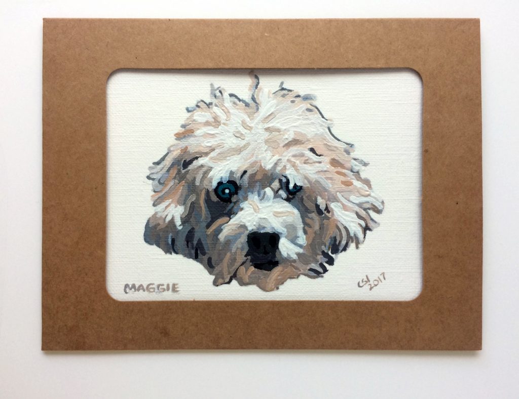 face of a fluffy puppy